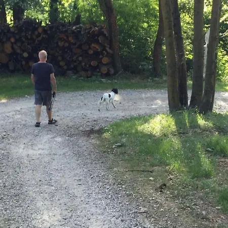 In Mit Garten- Terrasse Und Grill By Interhome Brusasco