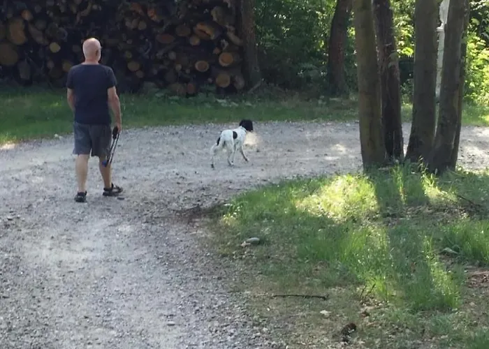 In Mit Garten- Terrasse Und Grill By Interhome Brusasco